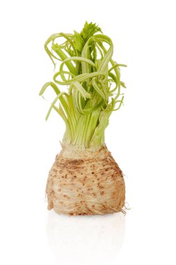 Beyaz arkaplanda büyüyen kereviz resmi