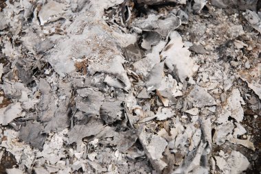 Beyaz ve gri odun külü kamp alanındaki kamp ateşinden.