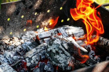 Şöminede yanan ateş