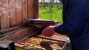 Çalışan ve Denetleyen Arıcı Kovan 'ı kapat