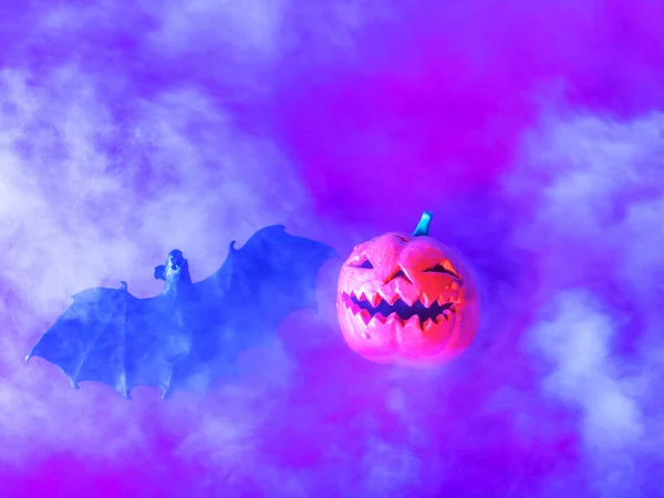 Background with pumpkin and bat. Holiday Halloween.