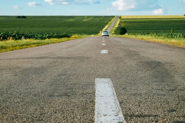 A white car drives along an asphalt road through a soybean field,  asphalt road panorama through soybean fields in countryside 