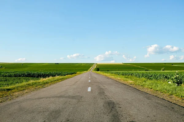 Asphalt Road Panorama Soybean Fields Countryside — Stock Photo, Image