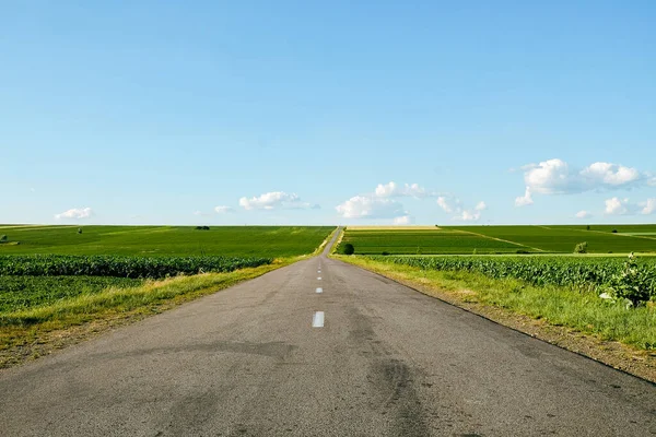 Asphalt Road Panorama Soybean Fields Countryside — Fotografia de Stock