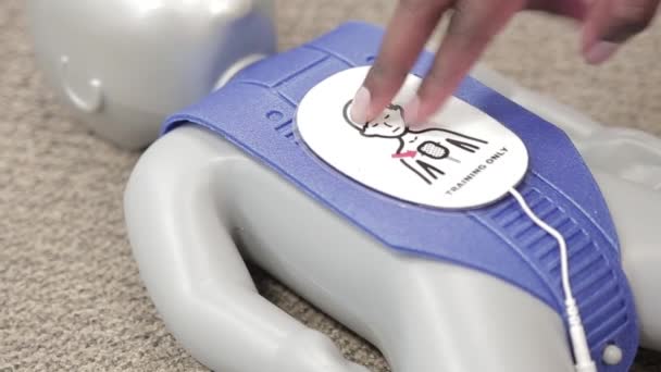 Staff Practicing Cpr First Aid Aed Adult Infant Dummy Dolls — Stockvideo