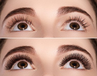 Kaşları ve son derece uzun kirpiklerini mükemmel şekli. Makro moda gözleri sima bir kadeh. Önce ve sonra