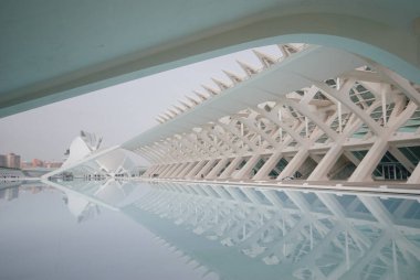 Valencia Stadyumu 'nun serin mavi gri ve beyaz renkleri suya yansıyan görüntüsü. Yüksek kalite fotoğraf.