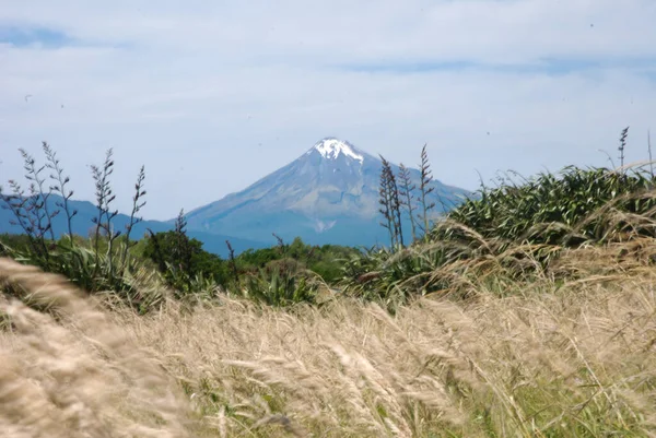 Monte Egmont Vista Puesta Sol Nevado Volcán Montaña Nueva Zelanda — Foto de Stock