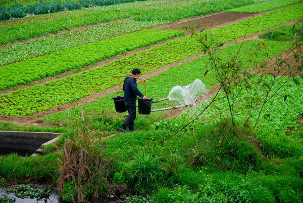 Boer Die Zijn Akkers Water Geeft Aan Rivier Yangshuo Guangxi — Stockfoto