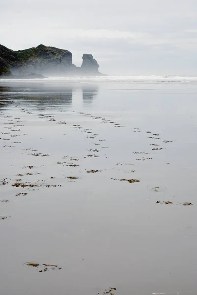 รอยเท าบน เฮงก เบธเซล วาเทเร คแลนด แลนด หมอกทะเลแสดงชายหาดชายฝ งตะว นตกท ภาพถ่ายสต็อกที่ปลอดค่าลิขสิทธิ์