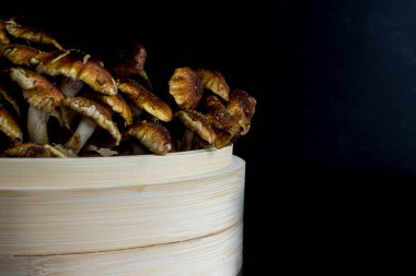 Tarçın kaplamalı mantarın düz manzarası koyu arkaplanda yatıyordu. Yüksek kalite fotoğraf. Çekici altın-turuncu rengi ve pullu görünüşüyle tanınan küçük şirin bir mantar kümesi. Nameko.