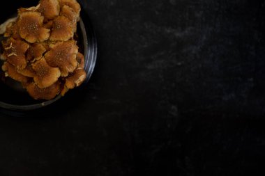 Tarçın kaplamalı mantarın düz manzarası koyu arkaplanda yatıyordu. Yüksek kalite fotoğraf. Çekici altın-turuncu rengi ve pullu görünüşüyle tanınan küçük şirin bir mantar kümesi. Nameko.