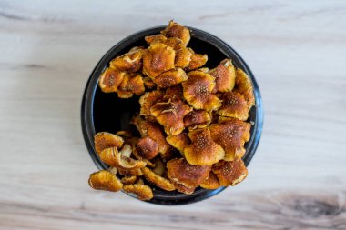 Tarçın kaplamalı mantarın düz manzarası koyu arkaplanda yatıyordu. Yüksek kalite fotoğraf. Çekici altın-turuncu rengi ve pullu görünüşüyle tanınan küçük şirin bir mantar kümesi. Nameko.