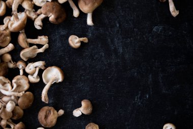 Siyah tebeşir arkaplana saçılmış şitake mantarlarının düz görüntüsü. Çerçeve sol tarafta. Yüksek kalite fotoğraf. Shiitake, lentinanlar ve diğer beta-glukanlar gibi polisakkaritler açısından zengindir.. 