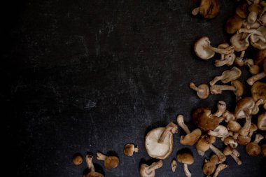 Siyah tebeşir arkaplana saçılmış şitake mantarlarının düz görüntüsü. Çerçeve sağ tarafta. Yüksek kalite fotoğraf. Shiitake, lentinanlar ve diğer beta-glukanlar gibi polisakkaritler açısından zengindir.. 