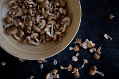 Yabani mantar karışımı. Aslan yelesi, istiridye, tarçın kapağı ve siyah arka planda bambu kasesinde şiitake. Yüksek kalite fotoğraf. Yenilebilir iyilik..