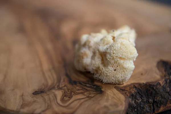 Closeup view of lions mane mushroom on grainy wooden background with bark edge. High quality photo. Lions mane Hericium erinaceus is a type of medicinal mushroom.