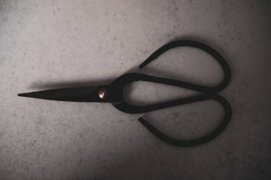 Metal gardening scissors on concrete background. High quality photo