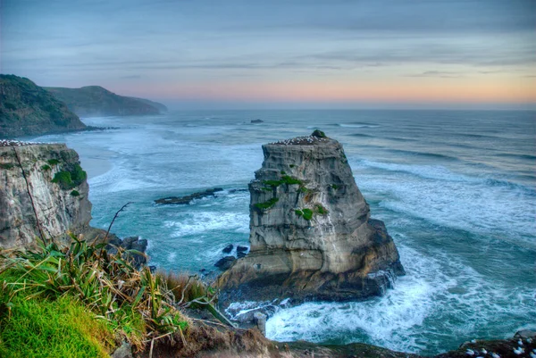 Muriwai Gannet Colony Sunset White Capped Waves West Auckland New — Stock Photo, Image