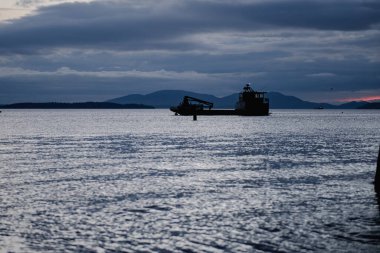 Taylor Shellfish Çiftliği Chuckanut 'ta gün batımı Washington' da. Yüksek kalite fotoğraf.