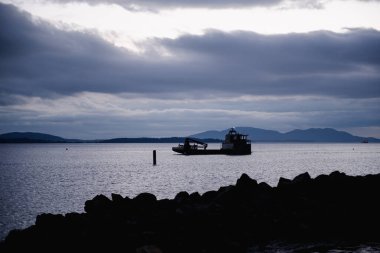 Taylor Shellfish Çiftliği Chuckanut 'ta gün batımı Washington' da. Yüksek kalite fotoğraf. İstiridye teknesi hasat için hazır..