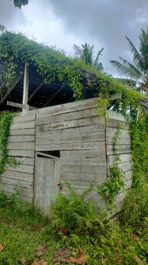 Batı Sulawesi, Polewali 'de çalılıklarla kaplı ahşap kulübeler - 2022