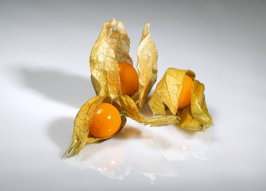 Beyaz arkaplanda yansıma ile olgun fizsalis