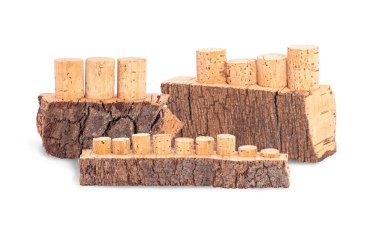 bottle caps made of natural cork wood in assortment