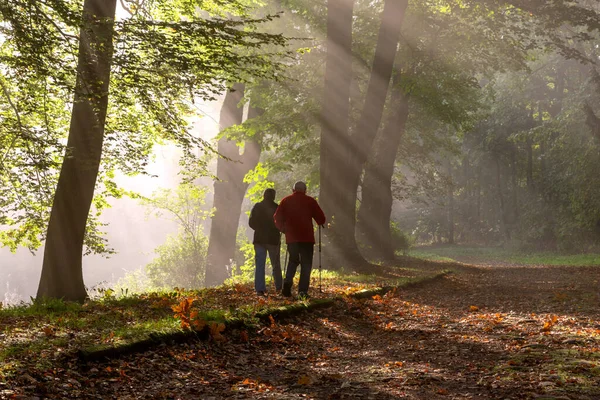Emeryci Spacerze Lesie Jesienią Kijami Nordic Walking — Zdjęcie stockowe