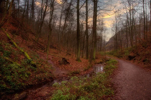 Route Forestière Automne Dans Une Gorge Montagne Octobre — Photo