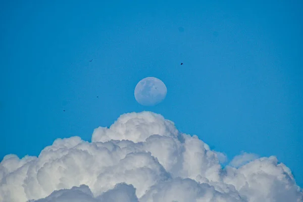 Luna Gigantesca Creciente Por Día — Foto de Stock