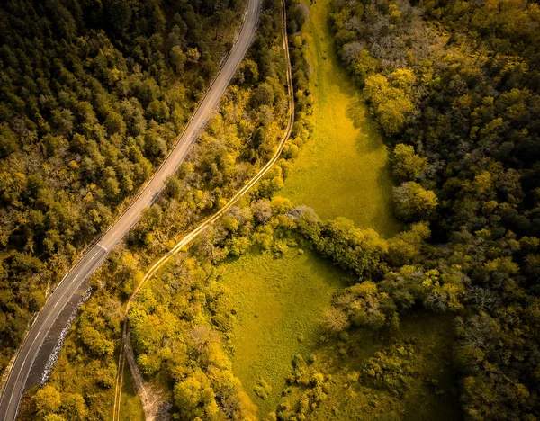OLD ROAD THROUGH FOREST IN AUTUMN MOUNTAIN