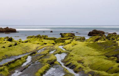 ROCKS DISCOVERED ON THE BEACH WITH SEA IN THE BACKGROUND AND COVERED SKY