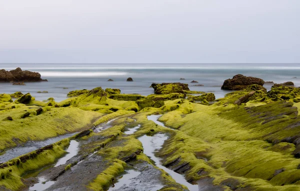 Rocks Discovered Beach Sea Background Covered Sky — Stock Fotó