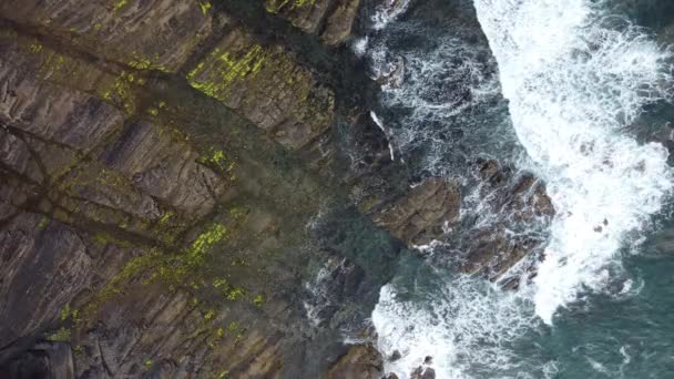 Drone Luchtfoto Uitzicht Kust Een Zonnige Dag Met Golven Crashen — Stockvideo