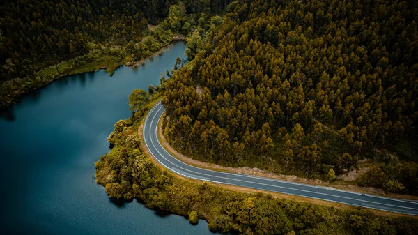 Göl ve Ormanlı Dağ Yolu 'nun Drone' u ile AERİAL Manzarası