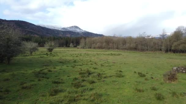 Foresta Con Alberghi Verdi Nelle Montagne Della Spagna Del Nord — Video Stock