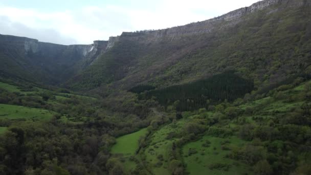 Bossen Met Groene Struiken Maneschijn Van Northern Spanje — Stockvideo