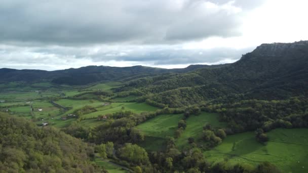 Forêt Avec Des Arbres Verts Dans Les Montagnes Nord Espagne — Video