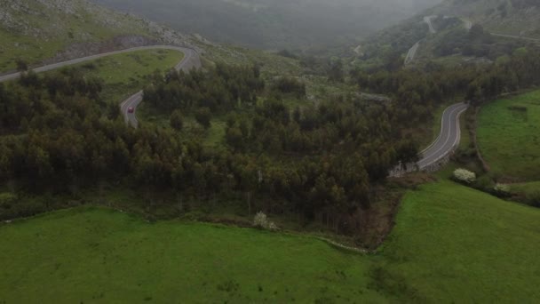 Wälder Mit Grünen Bäumen Den Bergen Nordspaniens — Stockvideo