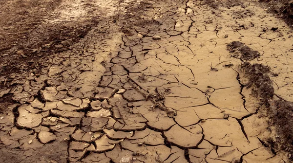 Broken earth field with no vegetation. Think about saving to avoid possible drought.