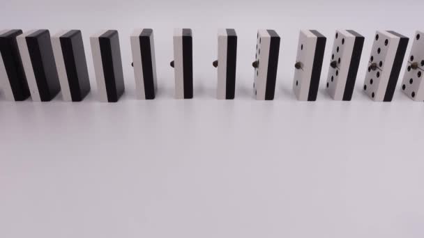 Loose Domino Pieces White Background — Video