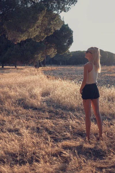 blonde-haired woman strolling through wheat field in shorts at sunset
