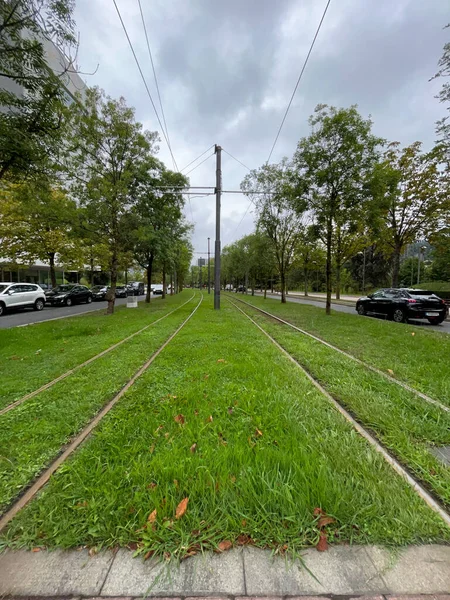 tracks over Bilbao tramway garden on a cloudy day