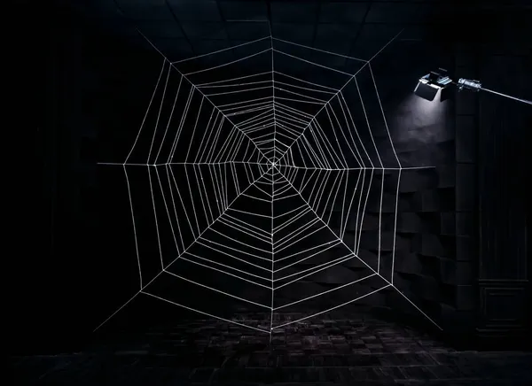 Celebration halloween holiday backdrop, huge white spider web. Gothic abstract Cobweb texture on black background in dark studio room. Festive party. Free space for text Royalty Free Stock Images