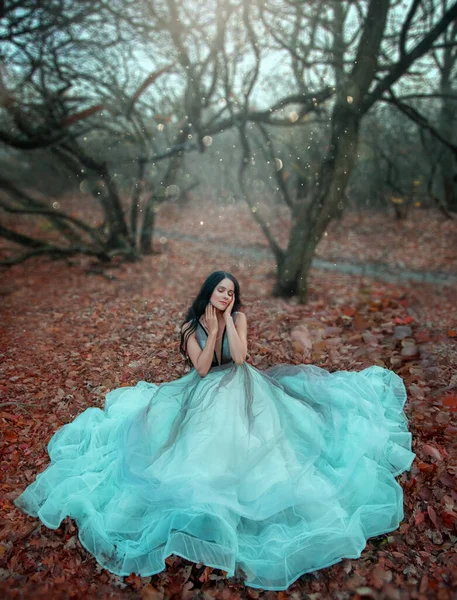 Fantasia princesa mulher em vestido azul de luxo senta-se no chão. Folhas de laranja caídas, árvores nuas. Menina conto de fadas no outono gótico natureza floresta floresta parque de madeira. Estilo vintage. cabelo preto comprido. desfrutar ao ar livre — Fotografia de Stock