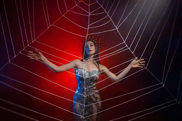 Fantaisie photo de femme araignée-reine en robe argentée brillante, touchant grande toile d'araignée avec les mains. Costume de carnaval noir veuve couronne royale. fille princesse modèle de mode posant dans studio lumière rouge fond — Photo