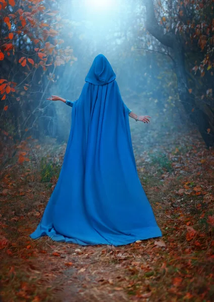 Silueta mujer de fantasía en capa medieval, capa, capucha en la cabeza. Lady Queen camina por el camino en el bosque. Ropa vintage larga azul. Otoño misterio naturaleza árboles naranja deja niebla mágica. Vista trasera trasera —  Fotos de Stock