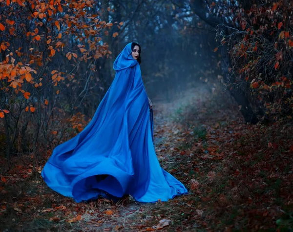 Gothic geheimnisvolle Frau geht in Fantasie Herbstwald. langer seidenblauer Mantel flattert, winkt Fliege im Wind, Stoff in Bewegung. Kopfhaube. Prinzessin blickt zurück. Umgestürzte orangefarbene Blätter dunkle Bäume, Nebel. — Stockfoto