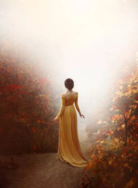 秋の霧の森を歩く謎のシルエットファンタジー女性バックビュー 女の子は歩き去る 女性の長いヴィンテージ歴史的なドレス 収集された髪の高い髪型 アートオレンジの葉の木道 — ストック写真